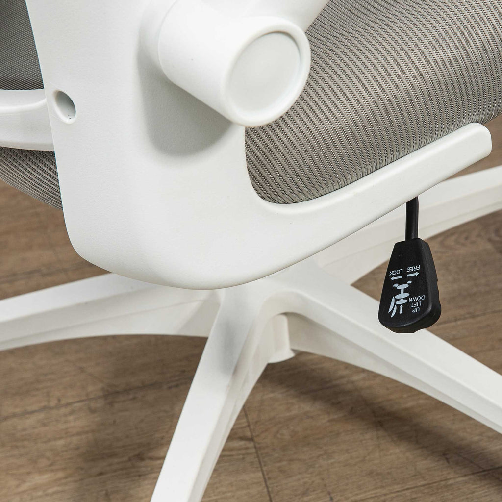 Vinsetto Multi-Adjustable Office Chair, with Lumbar Support, Headrest and Mesh Back in Grey-6