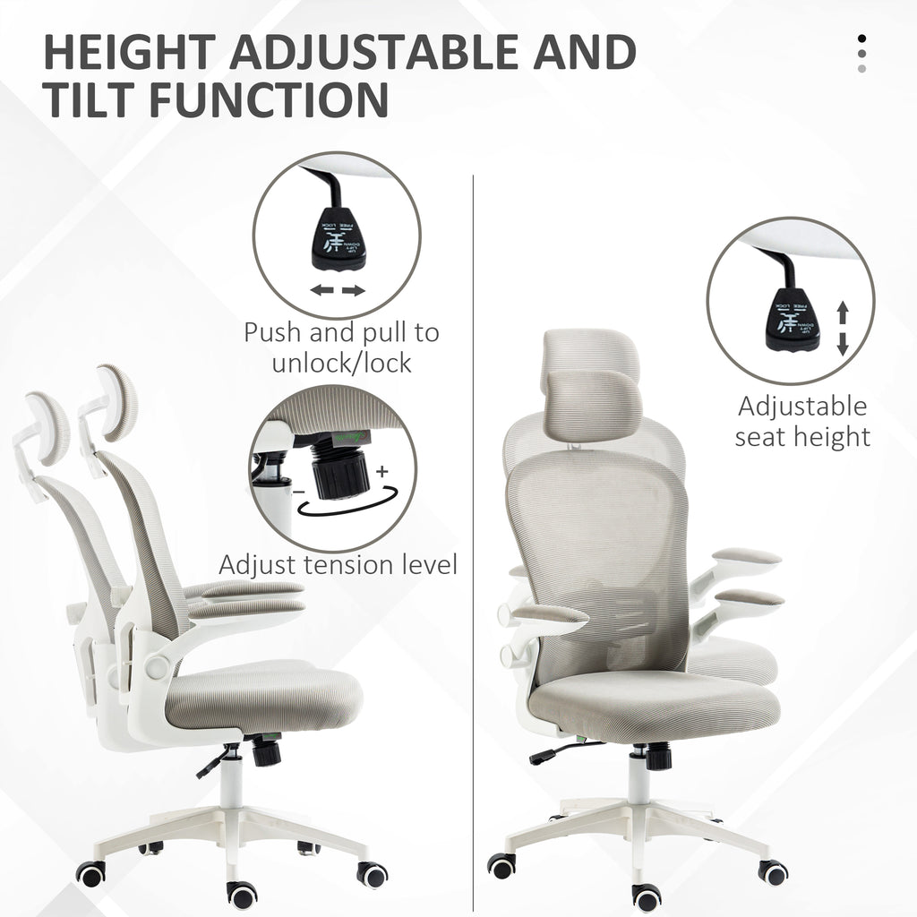 Vinsetto Multi-Adjustable Office Chair, with Lumbar Support, Headrest and Mesh Back in Grey-2