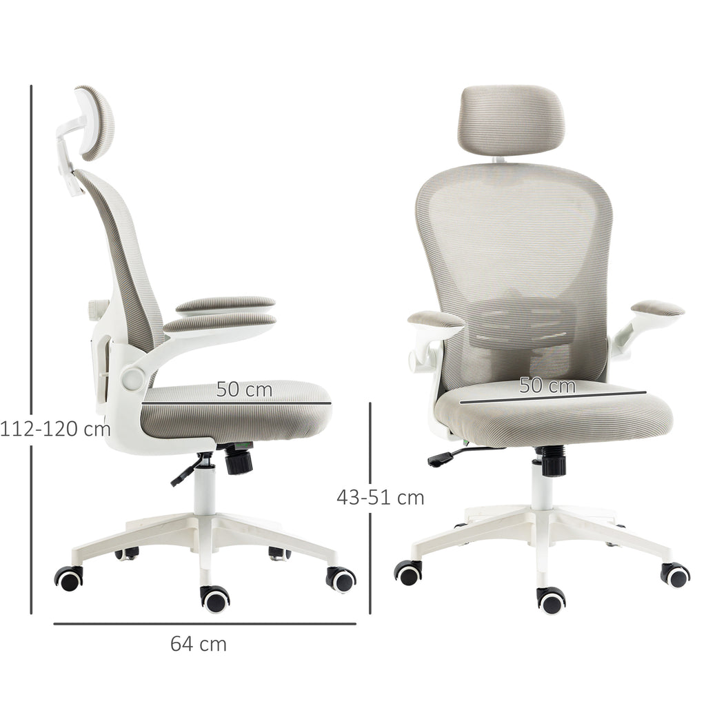 Vinsetto Multi-Adjustable Office Chair, with Lumbar Support, Headrest and Mesh Back in Grey-1